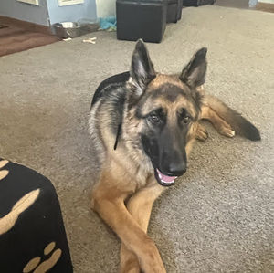 Meet your Posher, Andrea